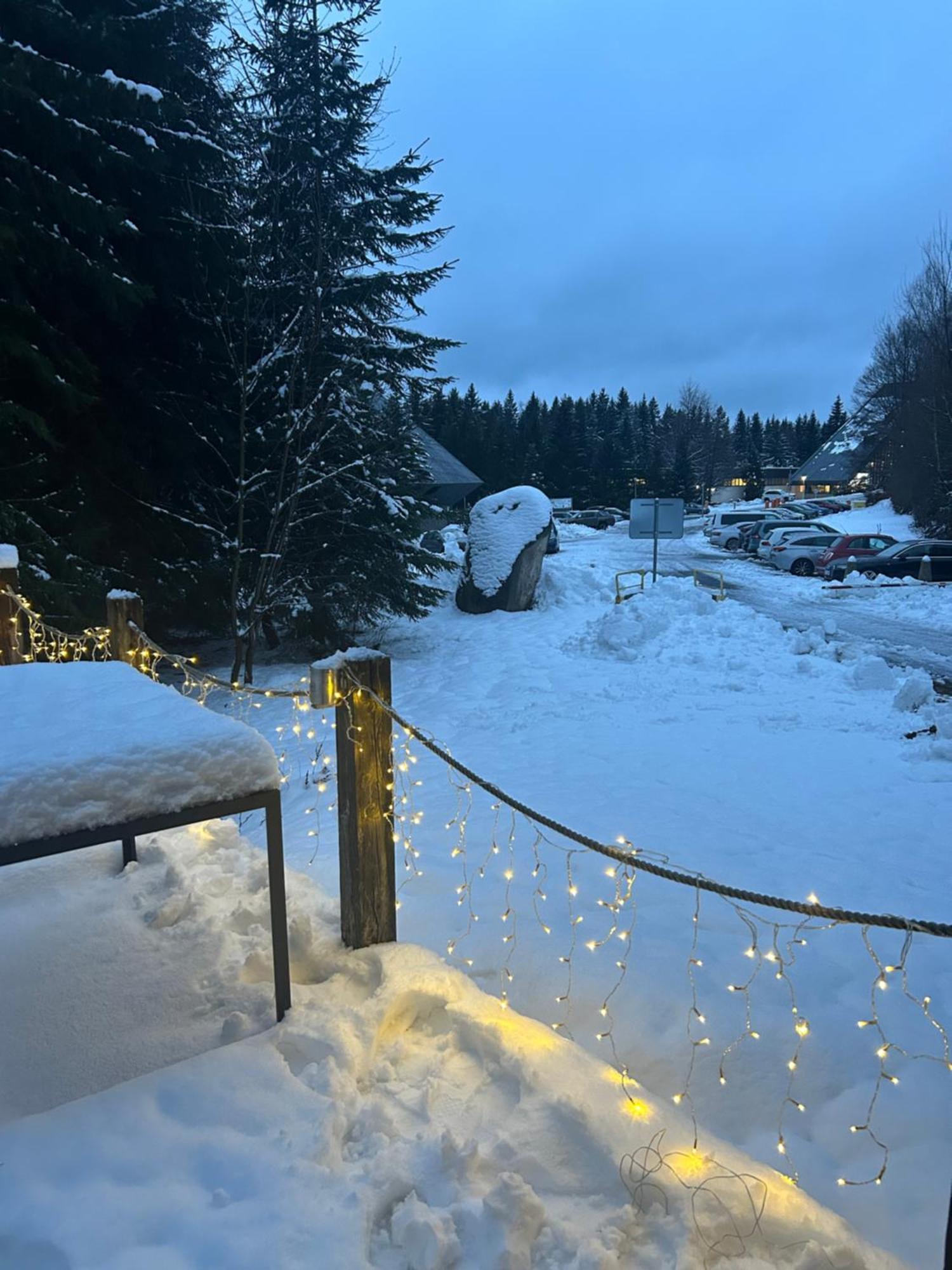 Horsky Chalet Harrachov Exterior photo
